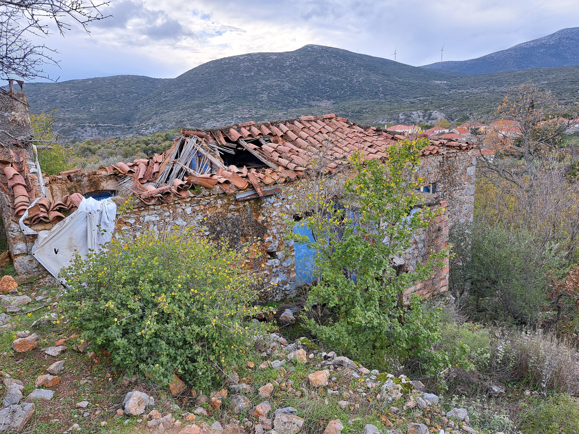 photo5