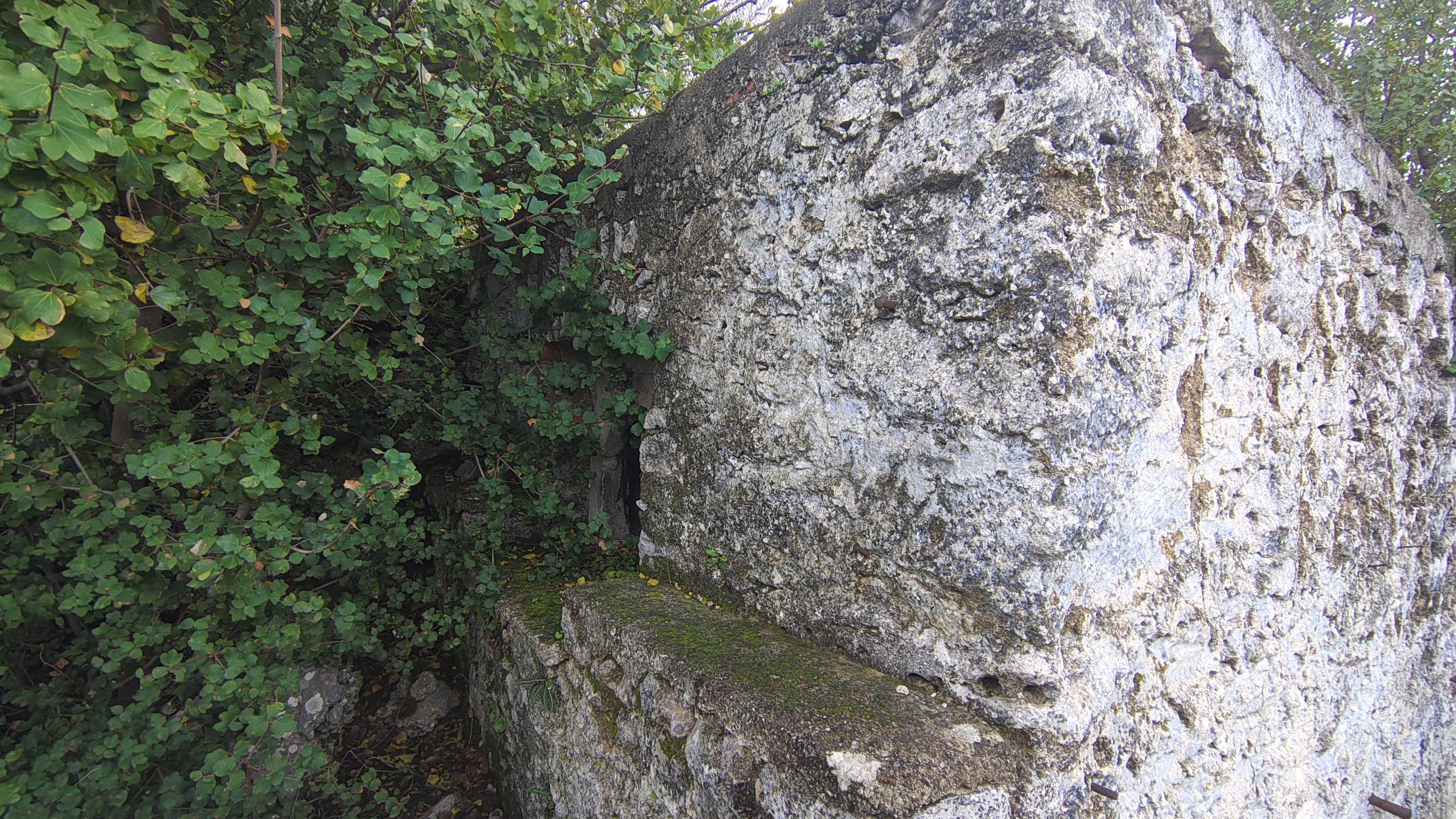 photo6