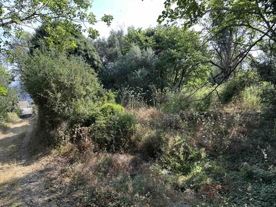 photo1