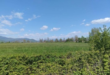 photo1