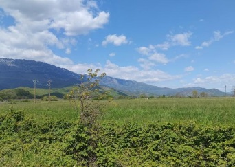 photo2