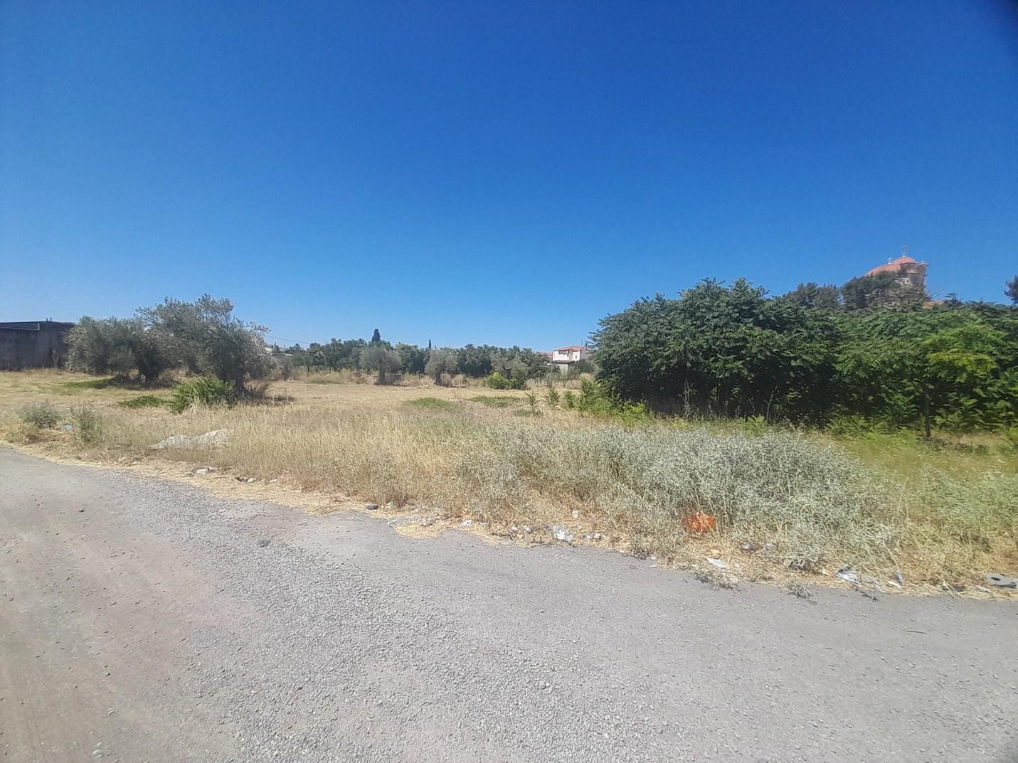 Οικόπεδο  σε πλειστηριασμό Δήμος Χαλκιδέων