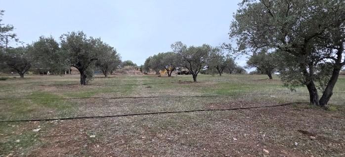 Αγροτεμάχιο 610 τ.μ. σε πλειστηριασμό Δήμος Ερμιονίδας