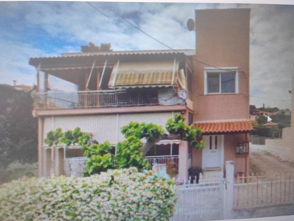 photo1