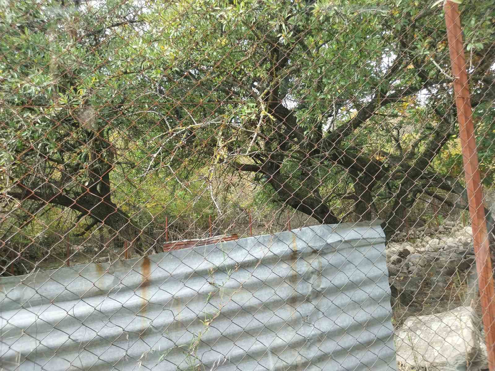 Αγροτεμάχιο 0 τ.μ. σε πλειστηριασμό Δήμος Σιντικής
