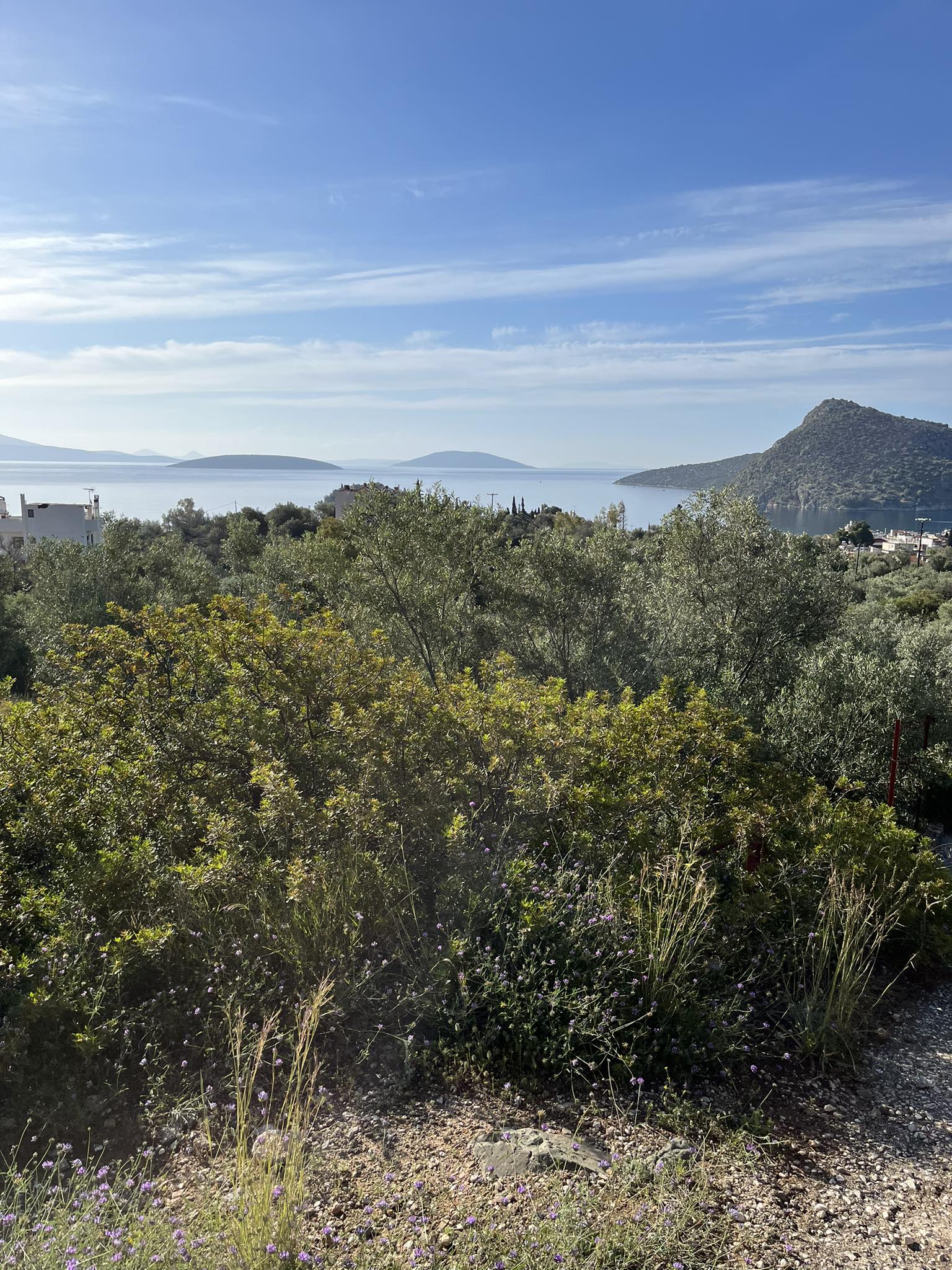 Αγροτεμάχιο 54.14 τ.μ. σε πλειστηριασμό Δήμος Ναυπλιέων
