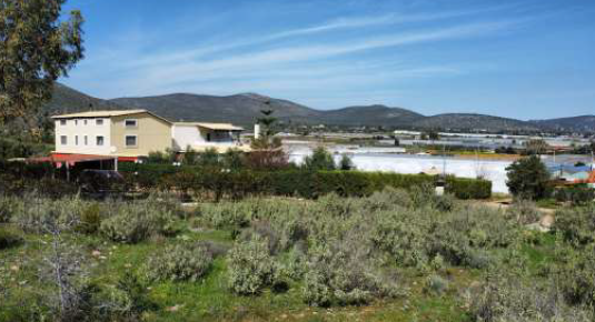 photo0
