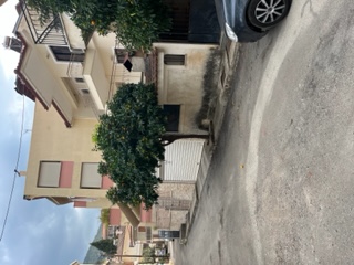 photo1
