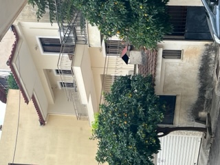 photo5