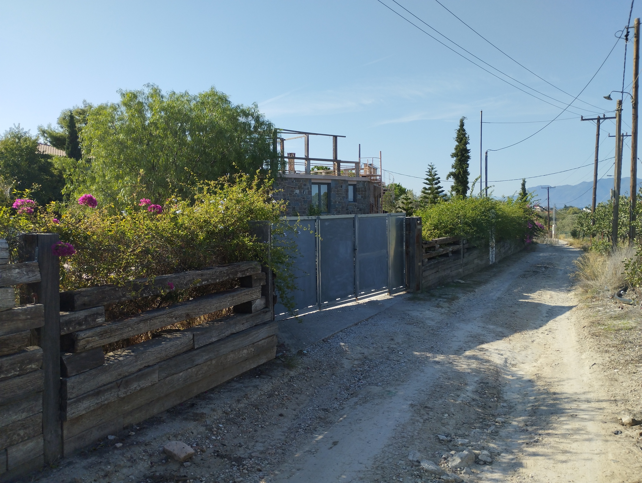 photo1