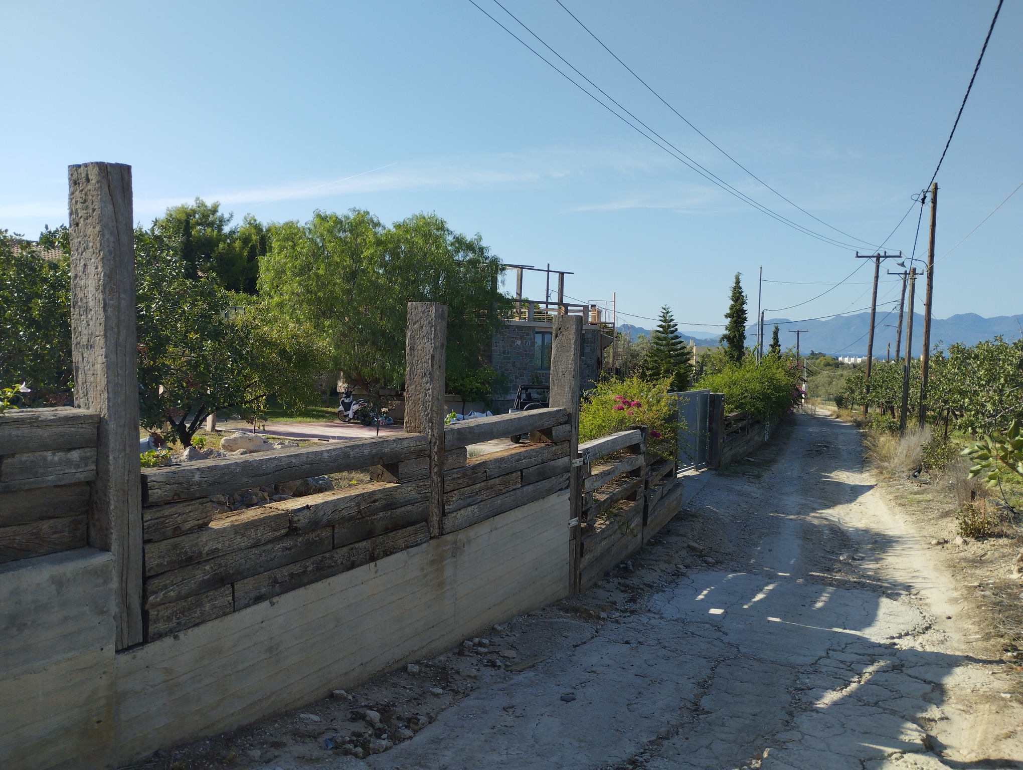 photo3