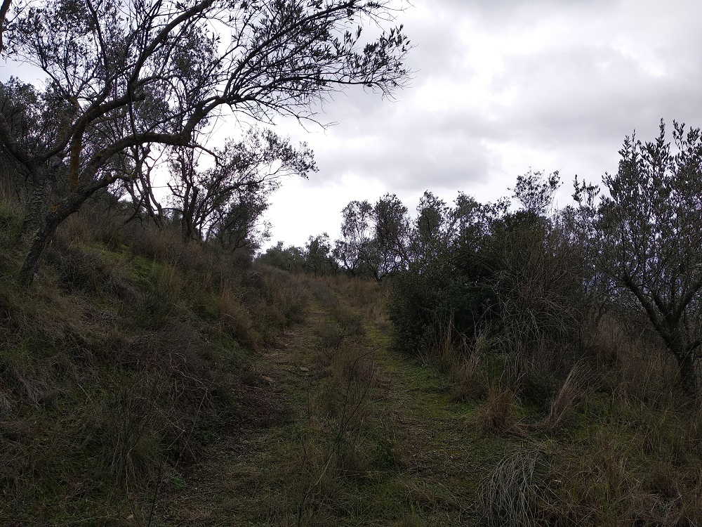 photo1