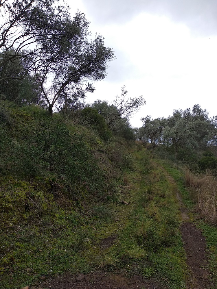 photo2