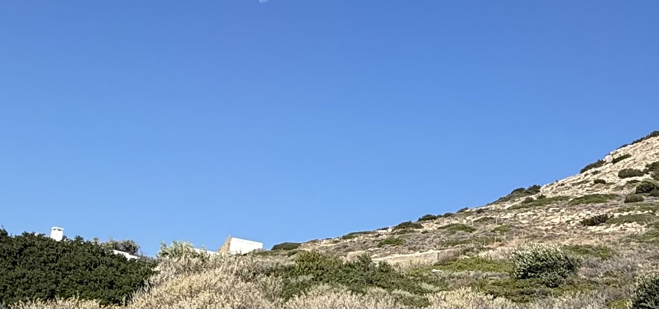 photo1