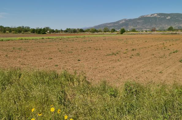 Αγροτεμάχιο  σε πλειστηριασμό Δήμος Νέστου