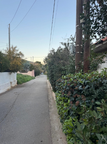 Αγροτεμάχιο 259.20 τ.μ. σε πλειστηριασμό Δήμος Παιανίας