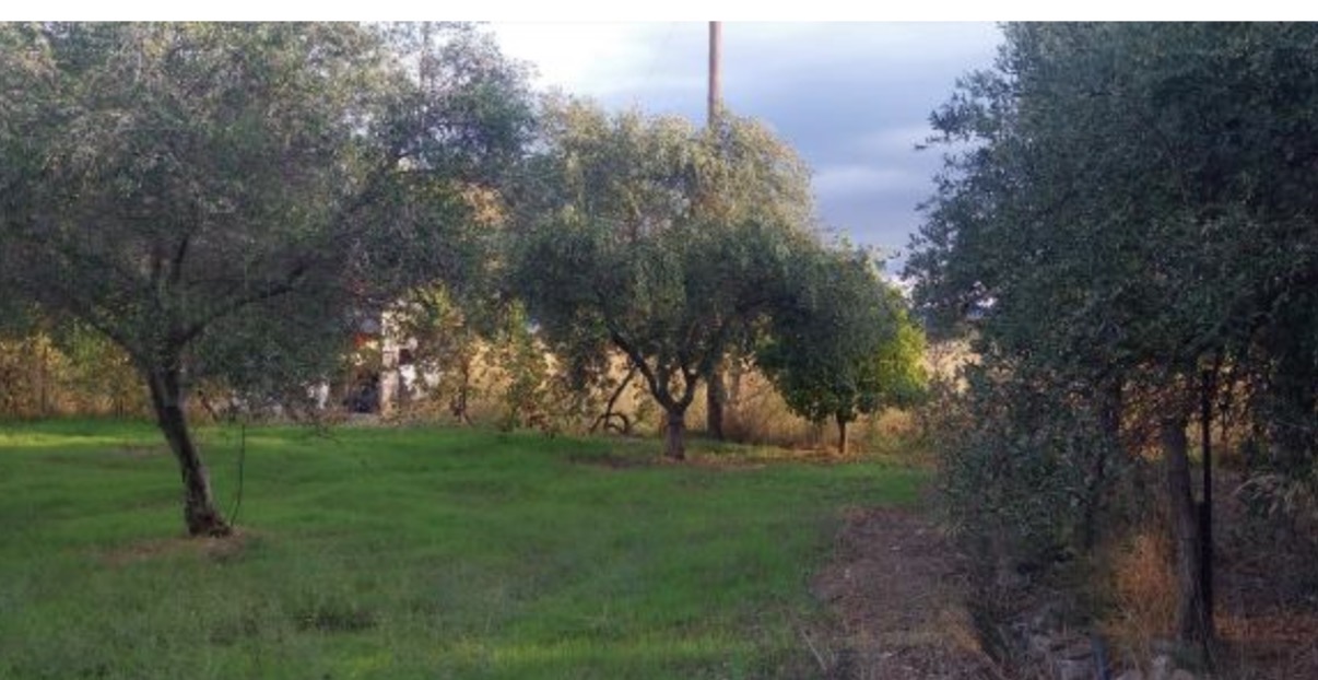 Αγροτεμάχιο  σε πλειστηριασμό Δήμος Σάμου