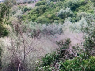 photo0