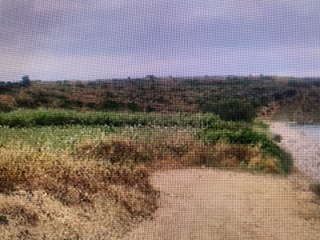 photo1