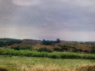 photo2