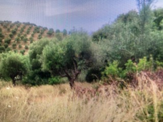 photo3