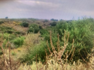 photo0