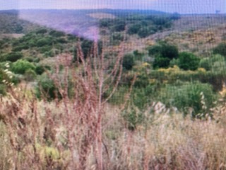 photo1
