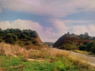 photo3