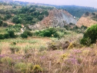 photo4