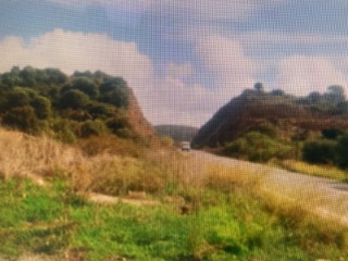 photo0