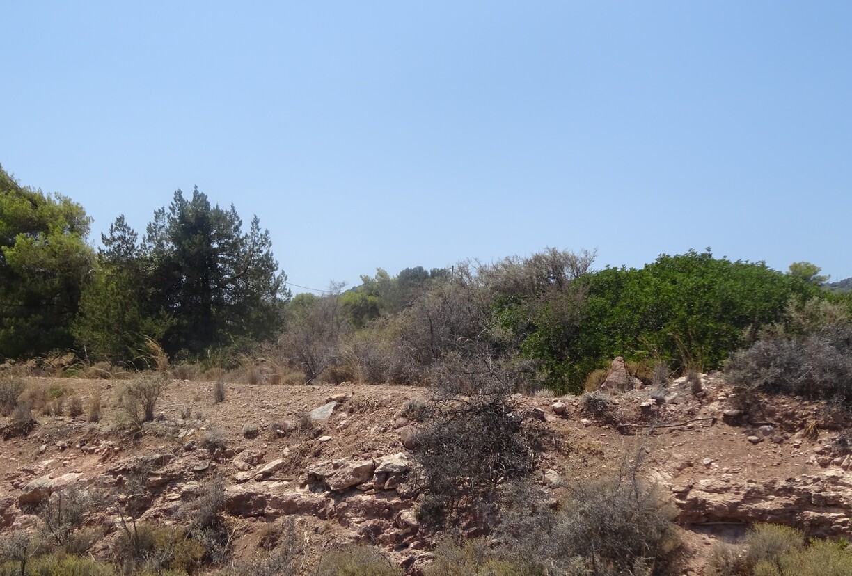 photo0