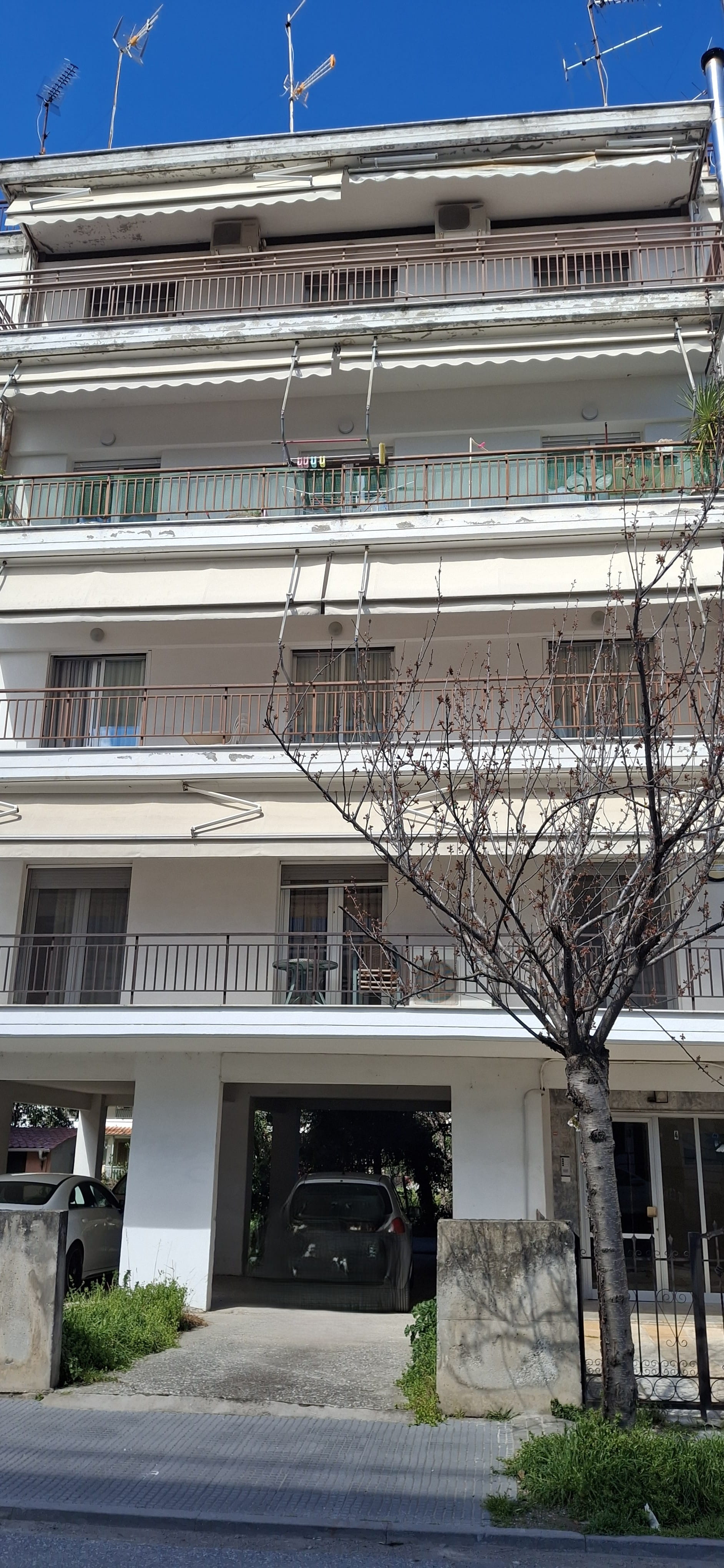 photo1