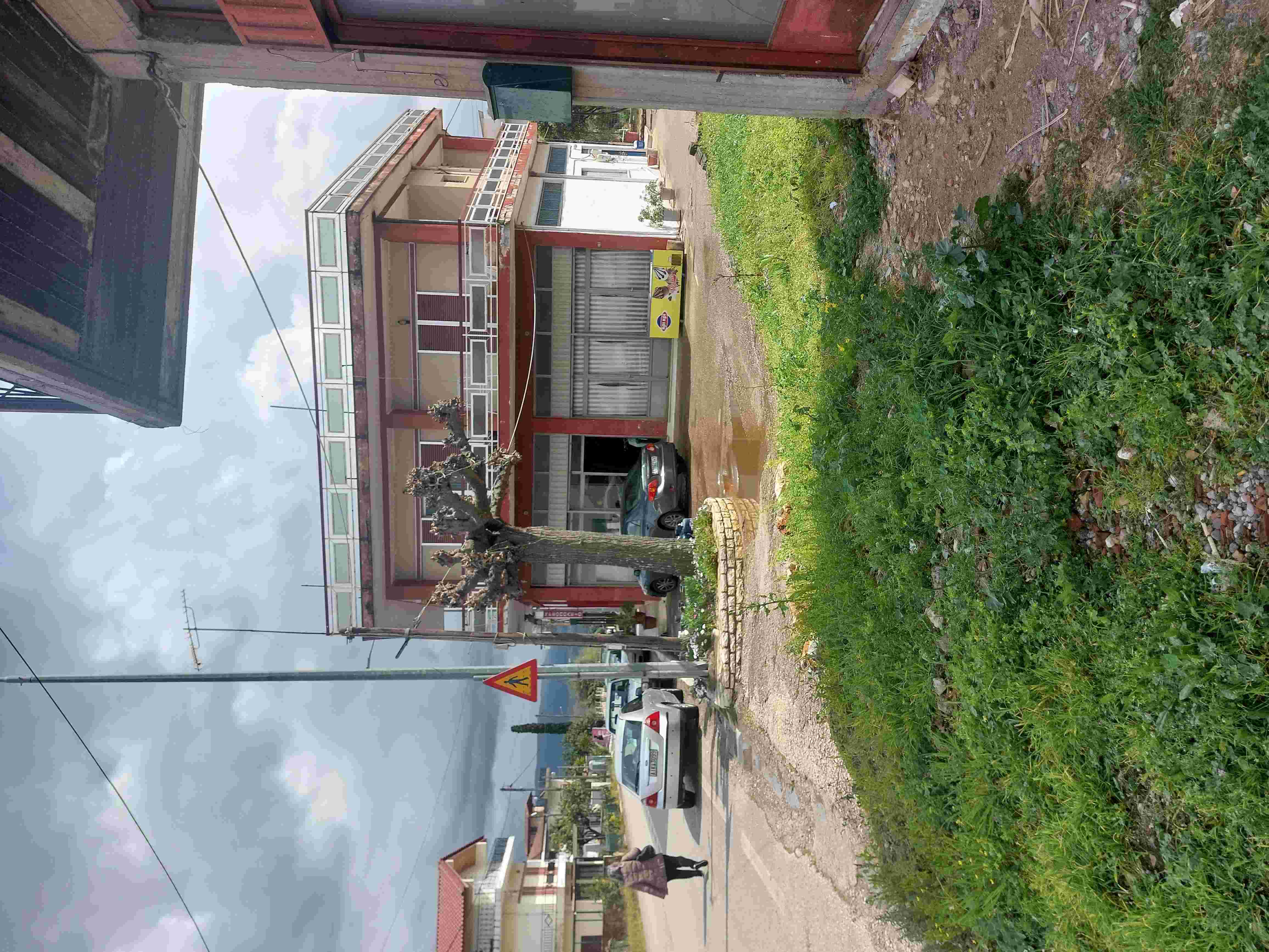 photo1