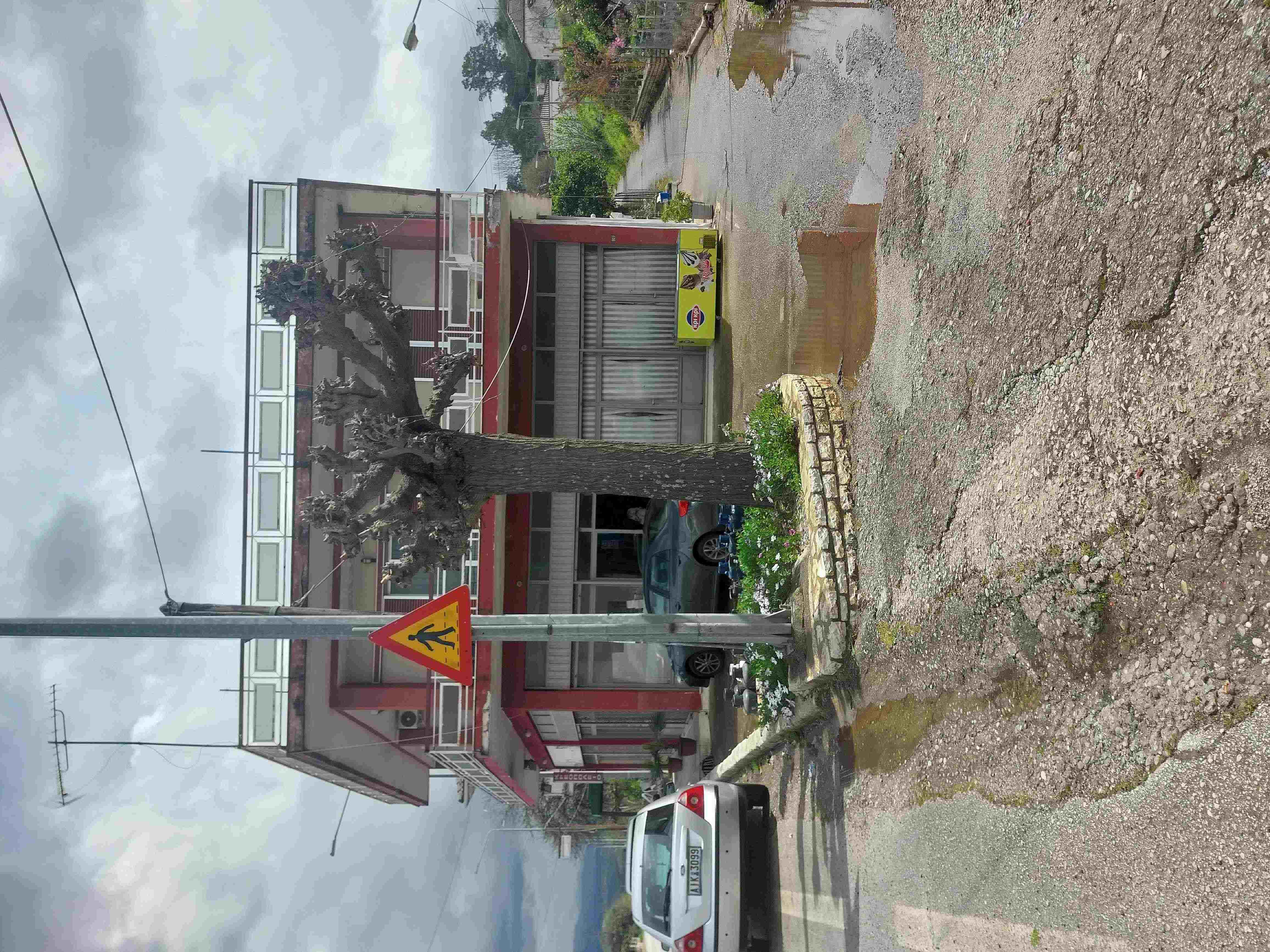 photo2