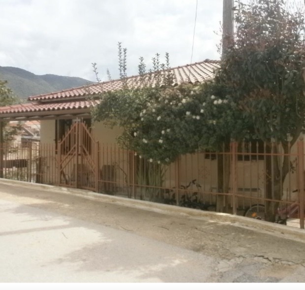 photo0