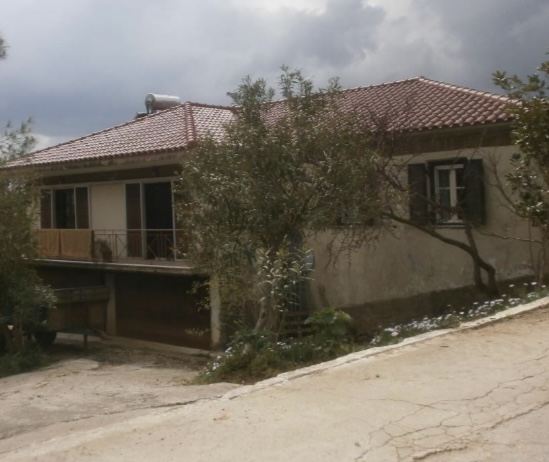 photo1
