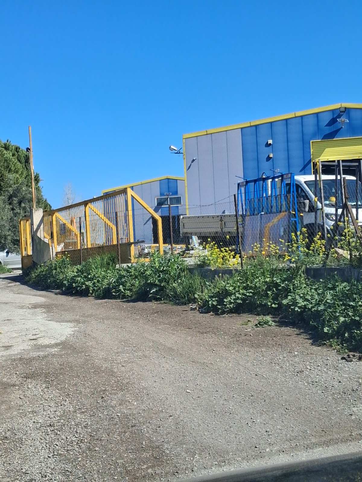 photo1