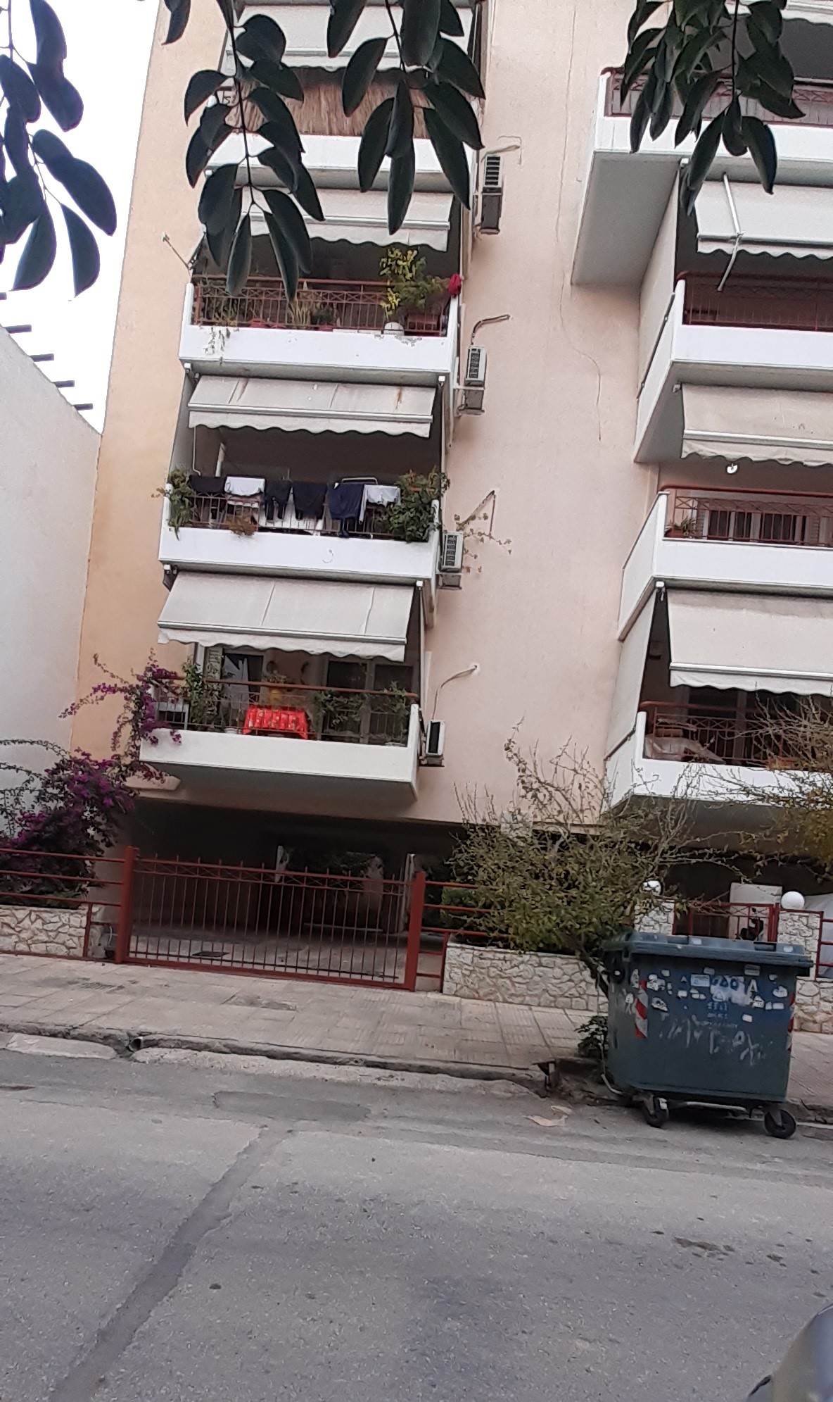 photo1