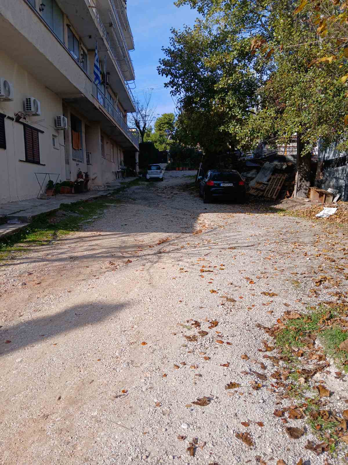 photo1