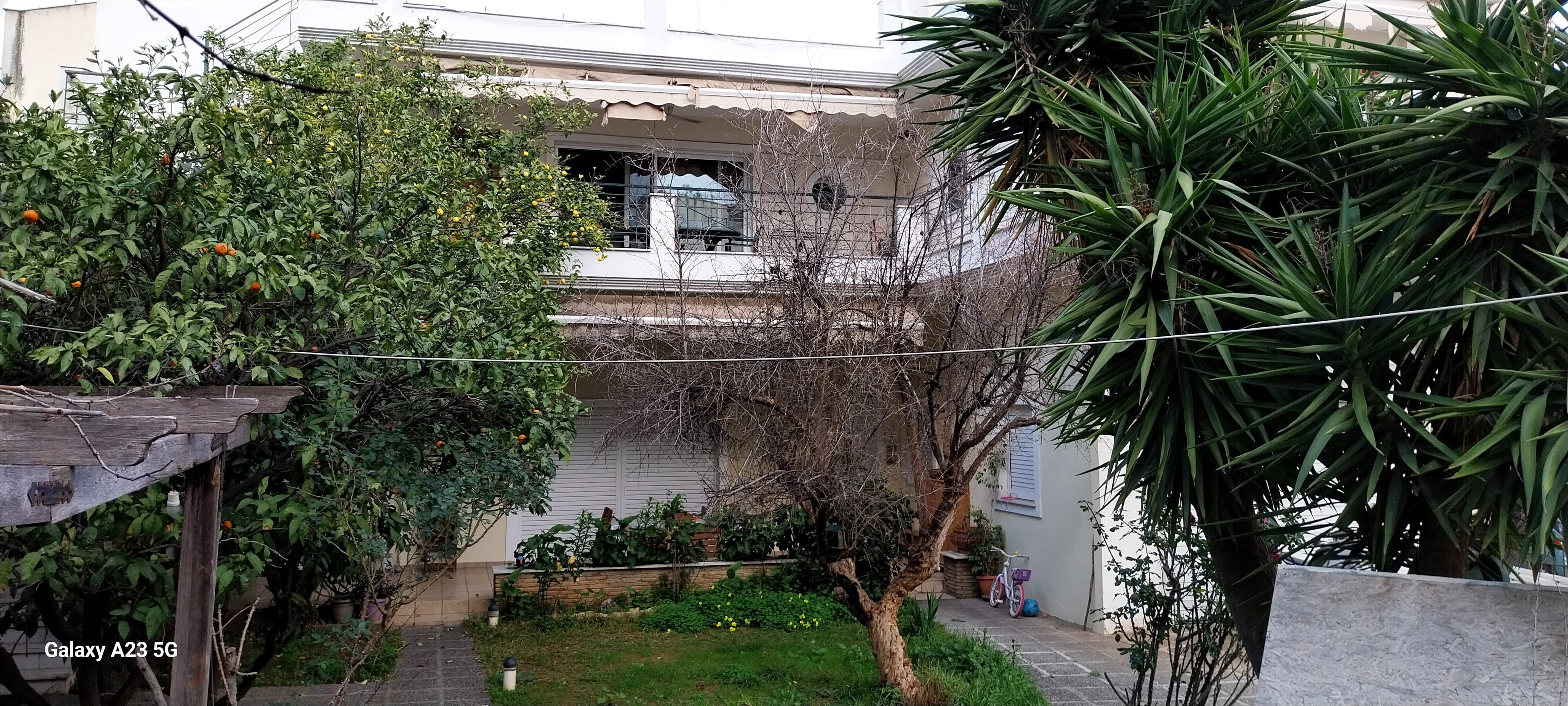 photo0