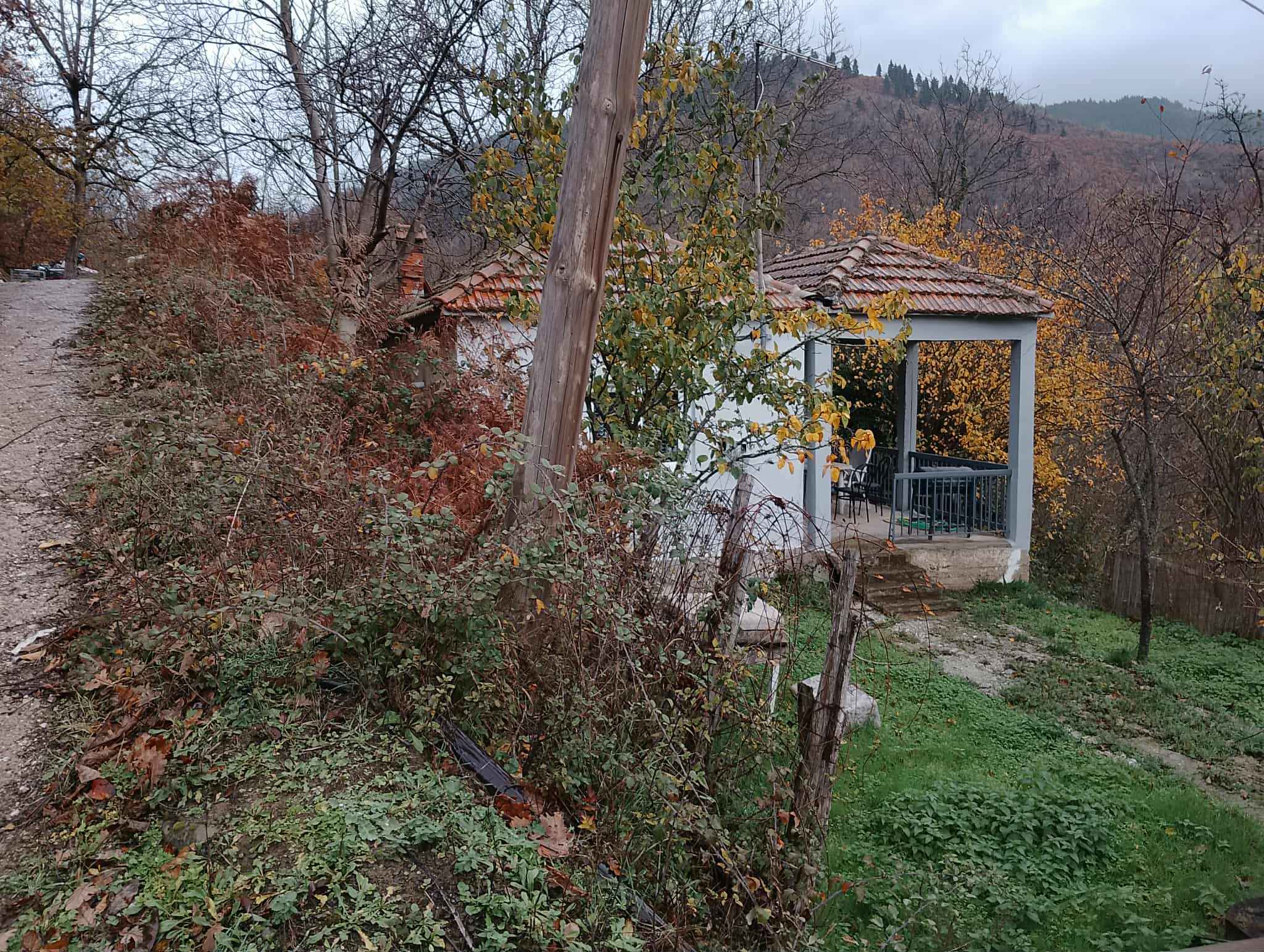 Οικόπεδο με κτίσμα  σε πλειστηριασμό Δήμος Καρδίτσας