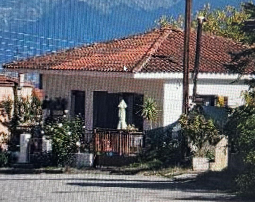 photo1