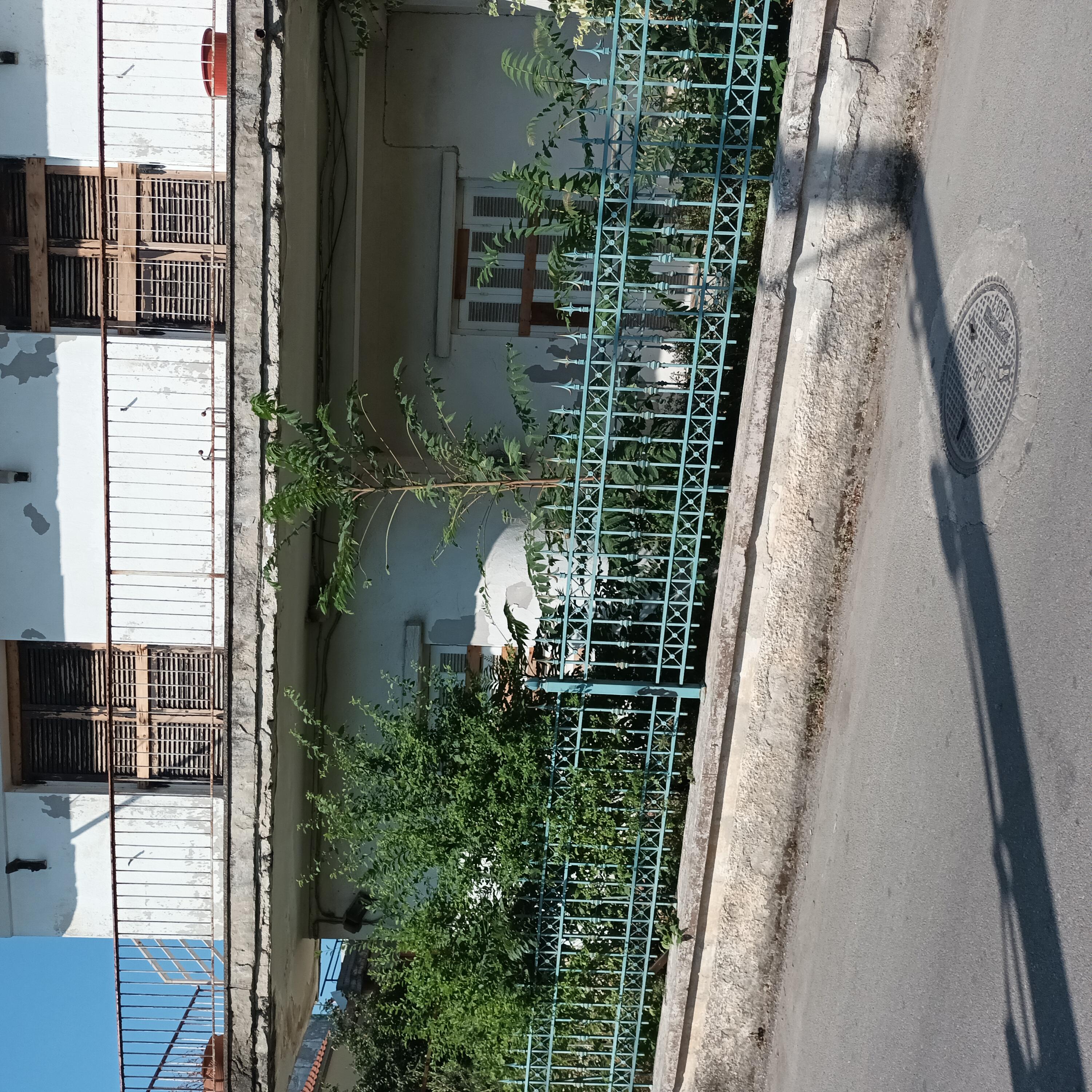 photo0