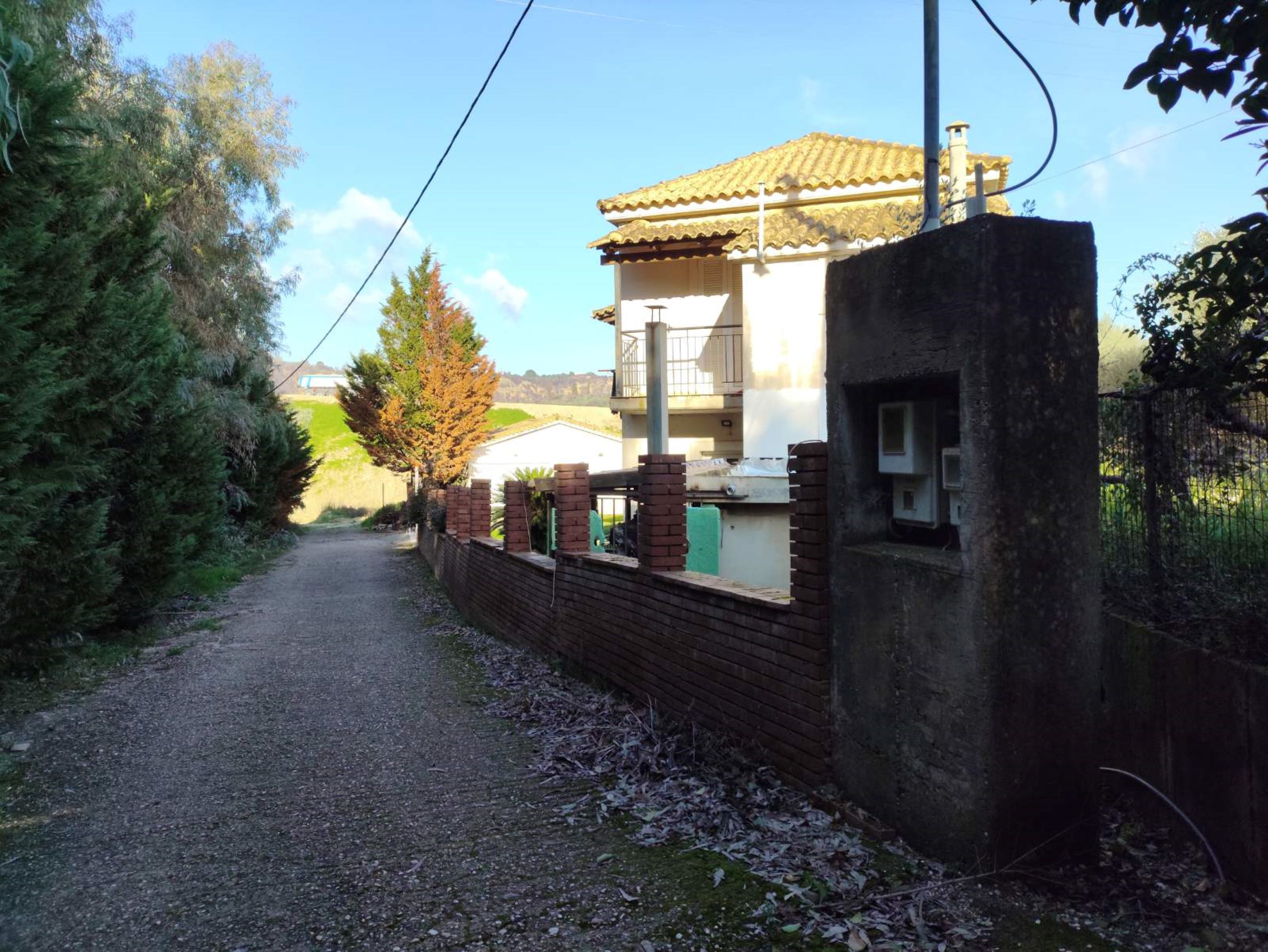 photo0