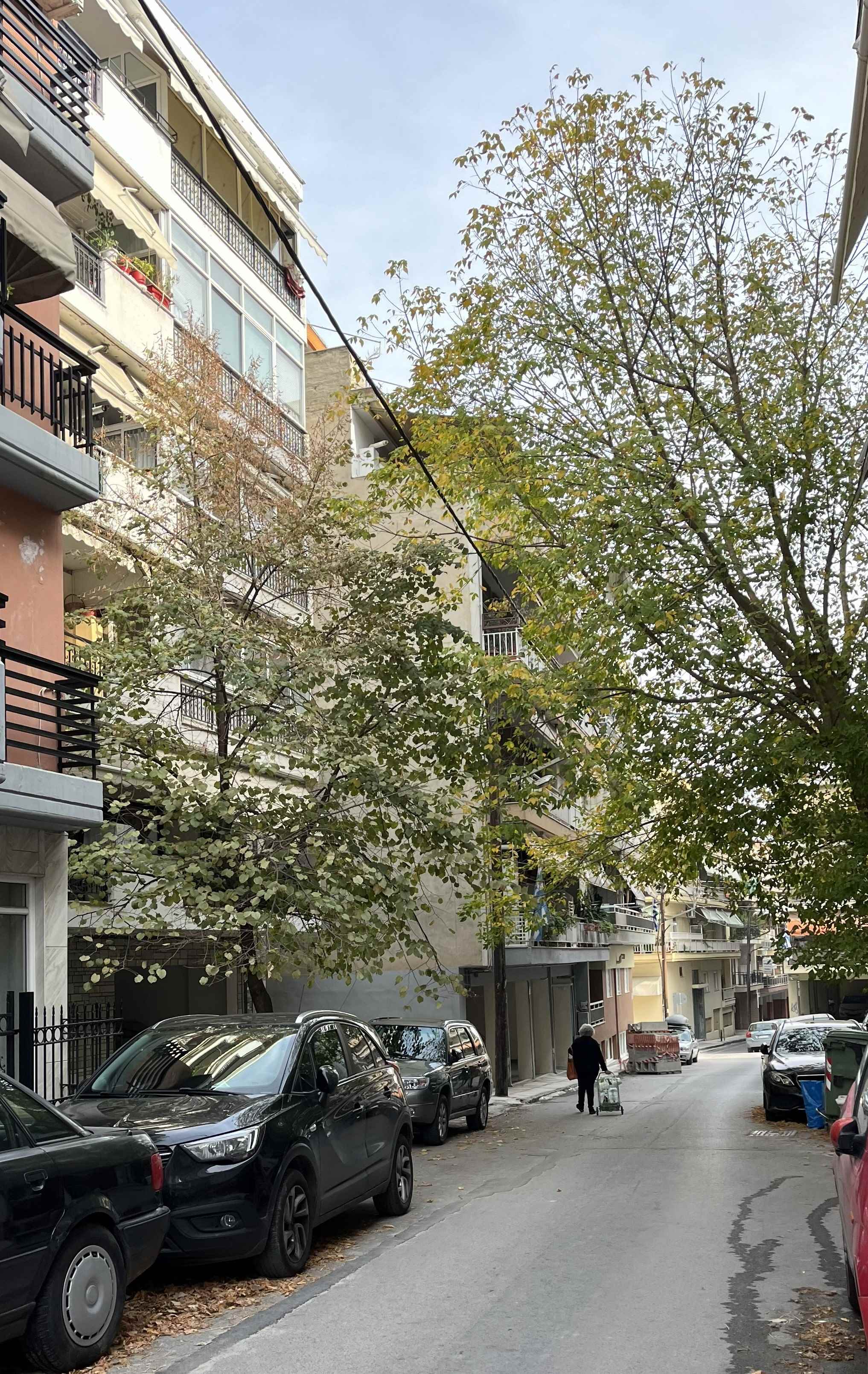 Κατοικία  σε πλειστηριασμό Δήμος Καλαμαριάς