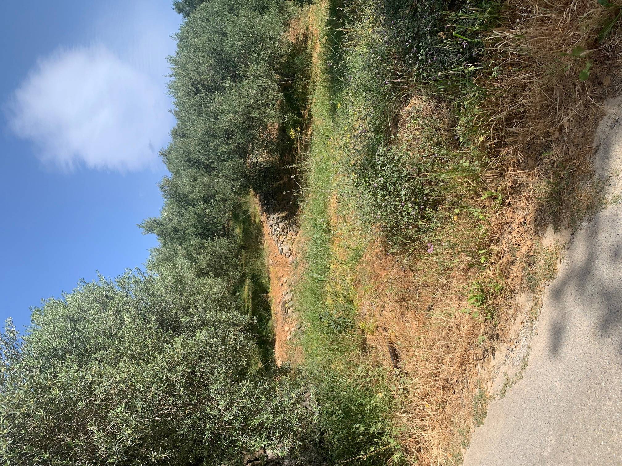 photo1