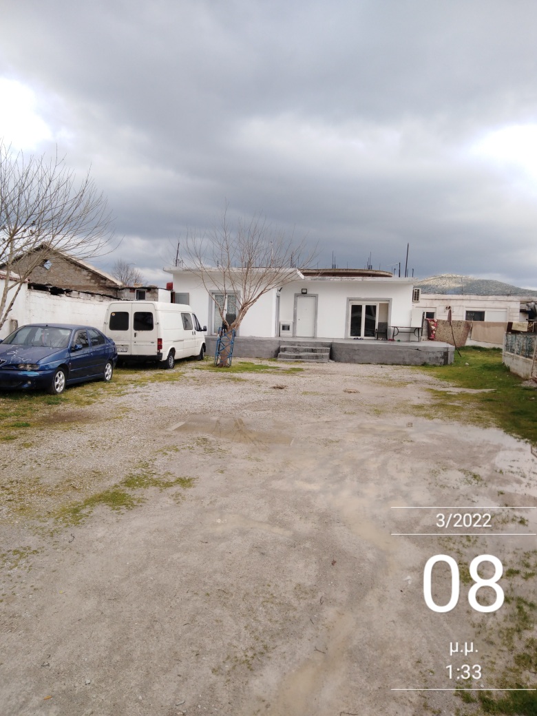 photo2