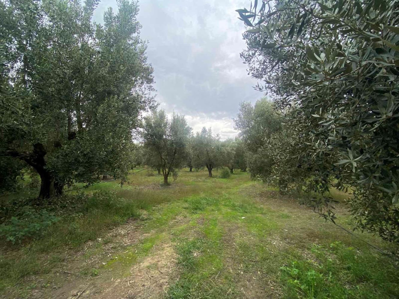 photo1