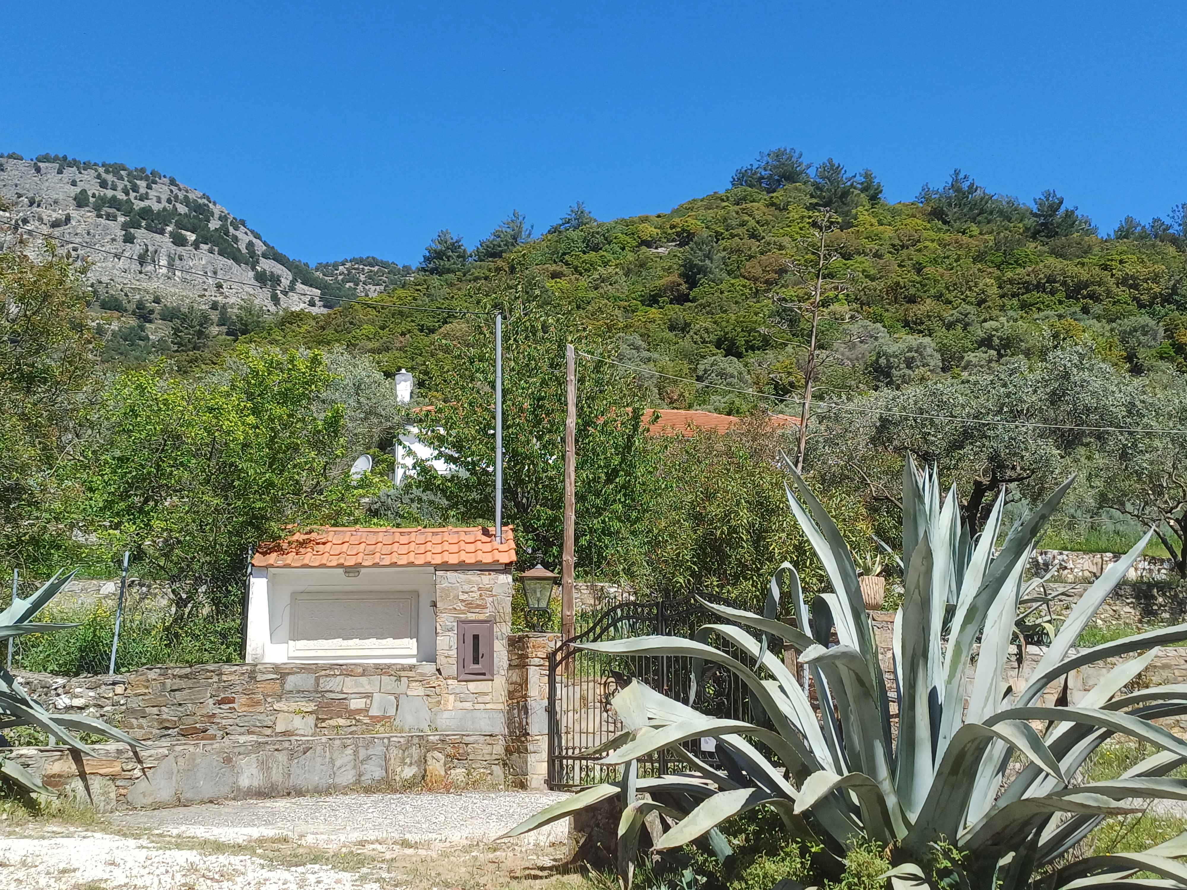 Αγροτεμάχιο με κτίσμα  σε πλειστηριασμό Δήμος Θάσου