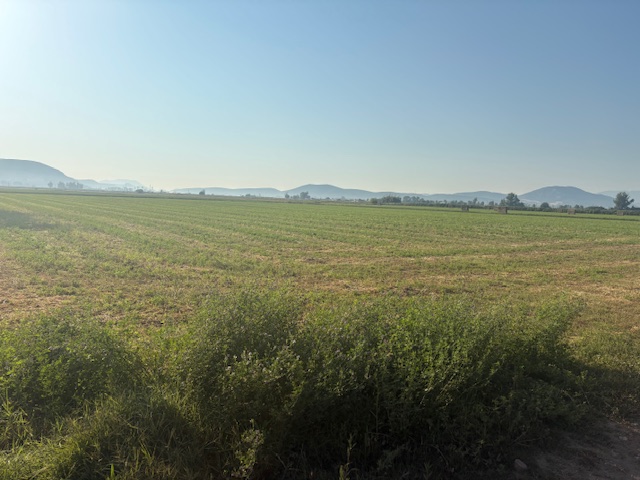 photo0